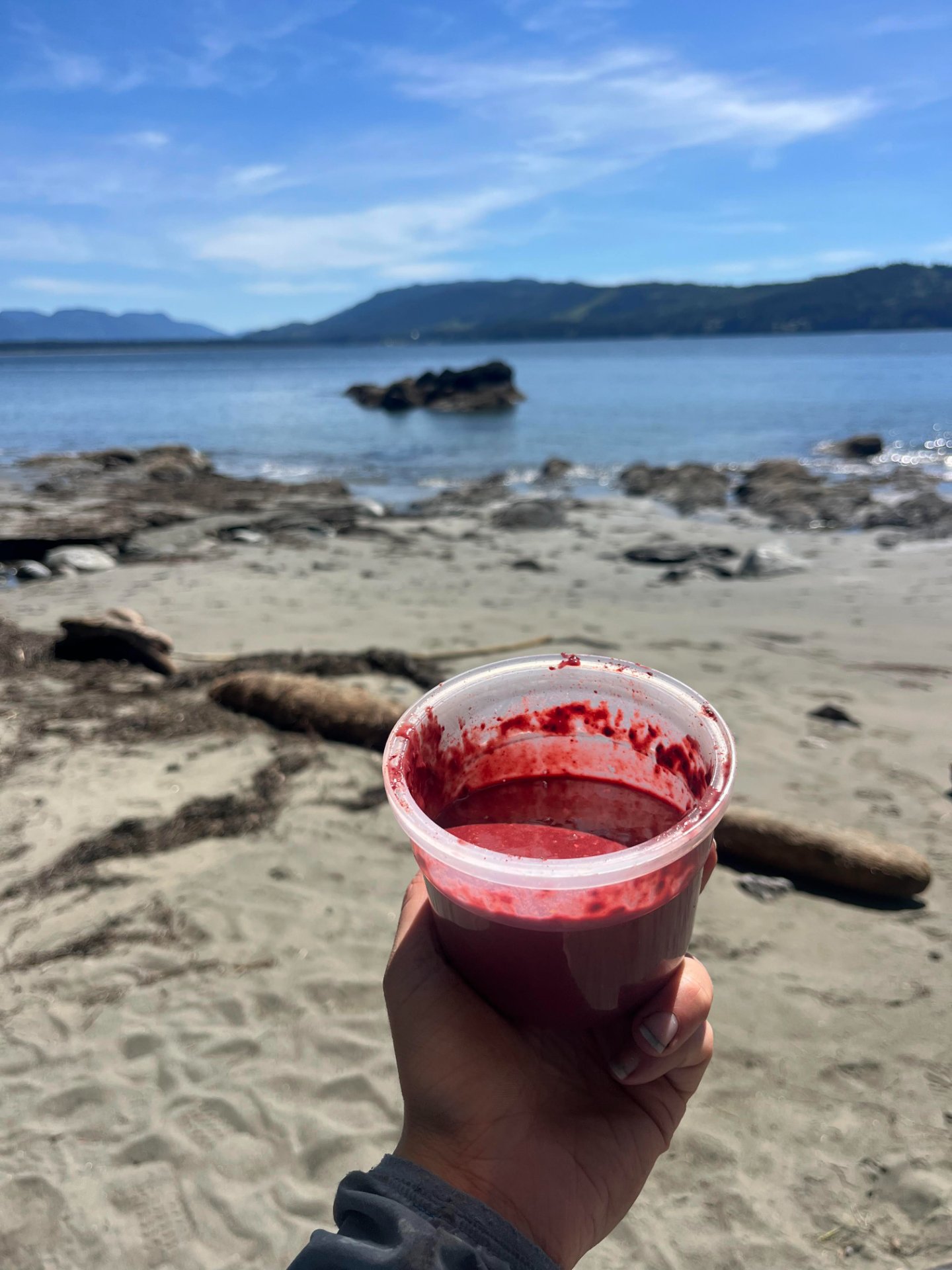Quick Backpacking Berry Smoothie