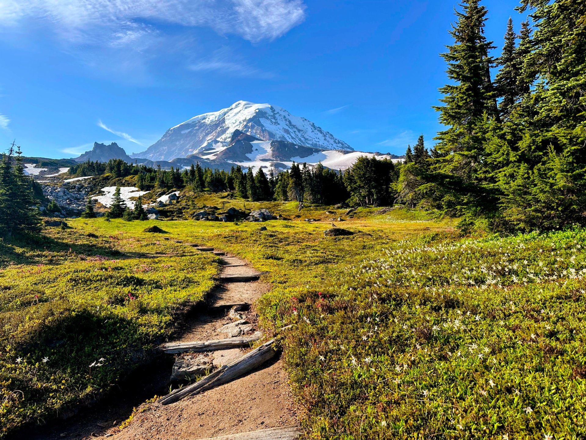 Rainier was looking lovely at Spray Park