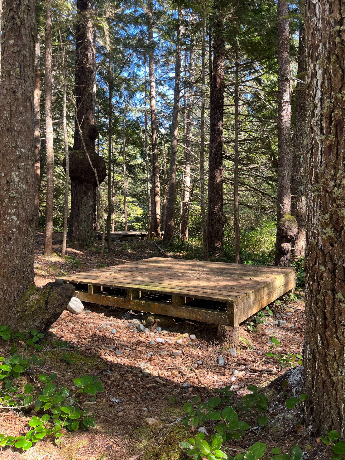 Nahwitti Creek camp area