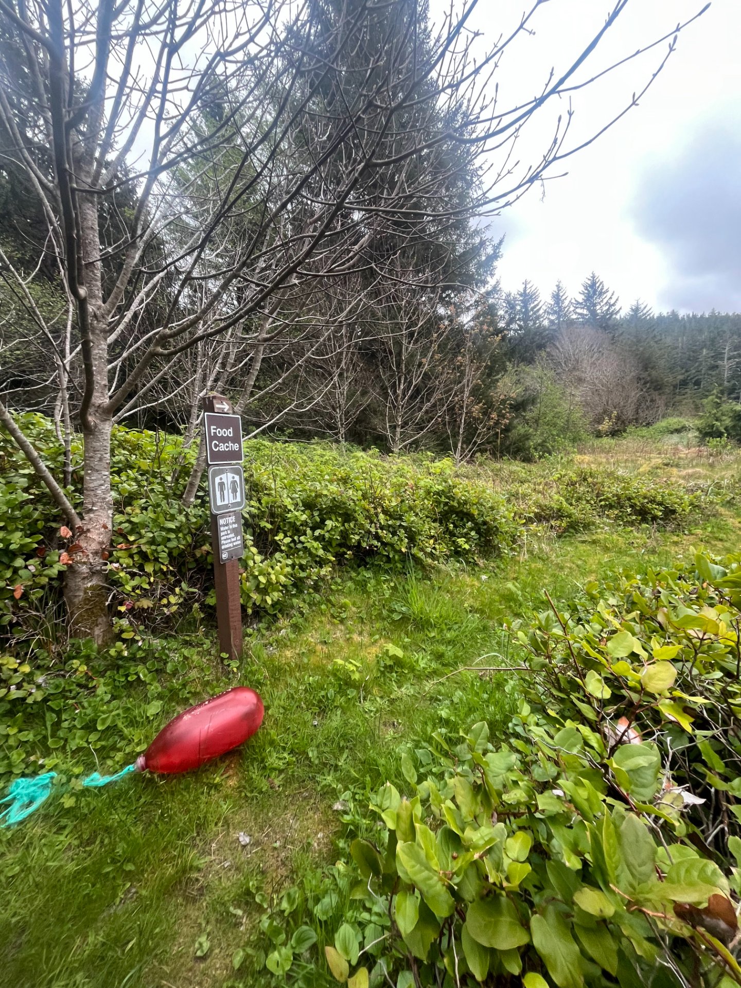 Guise Bay Camp, notice says to filter water
