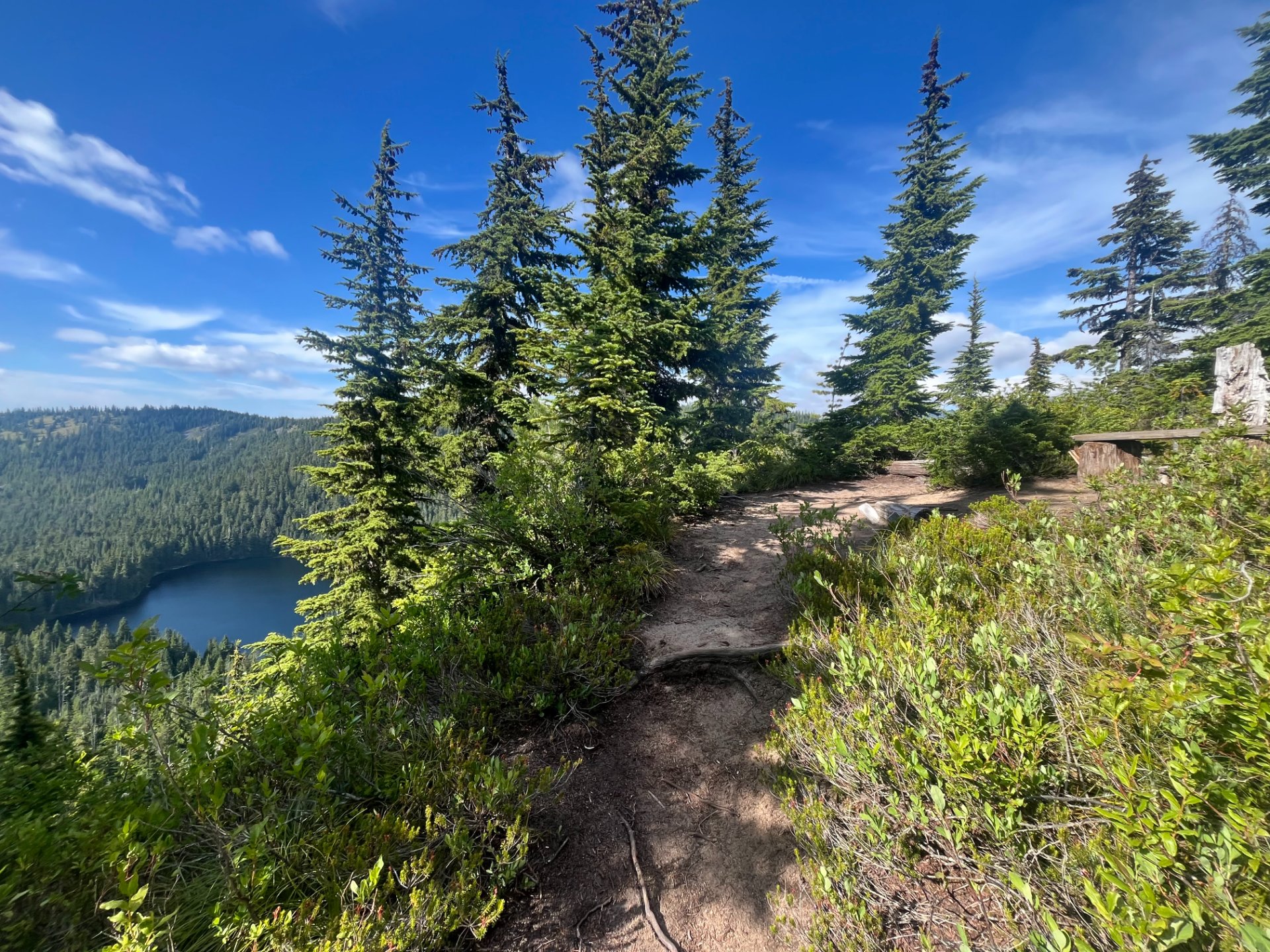 The view and bench between site 4 and 5