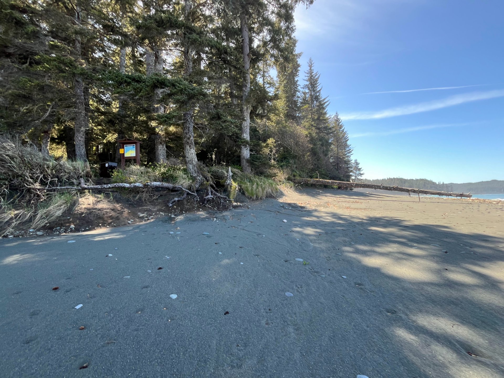 Skinner Creek camp