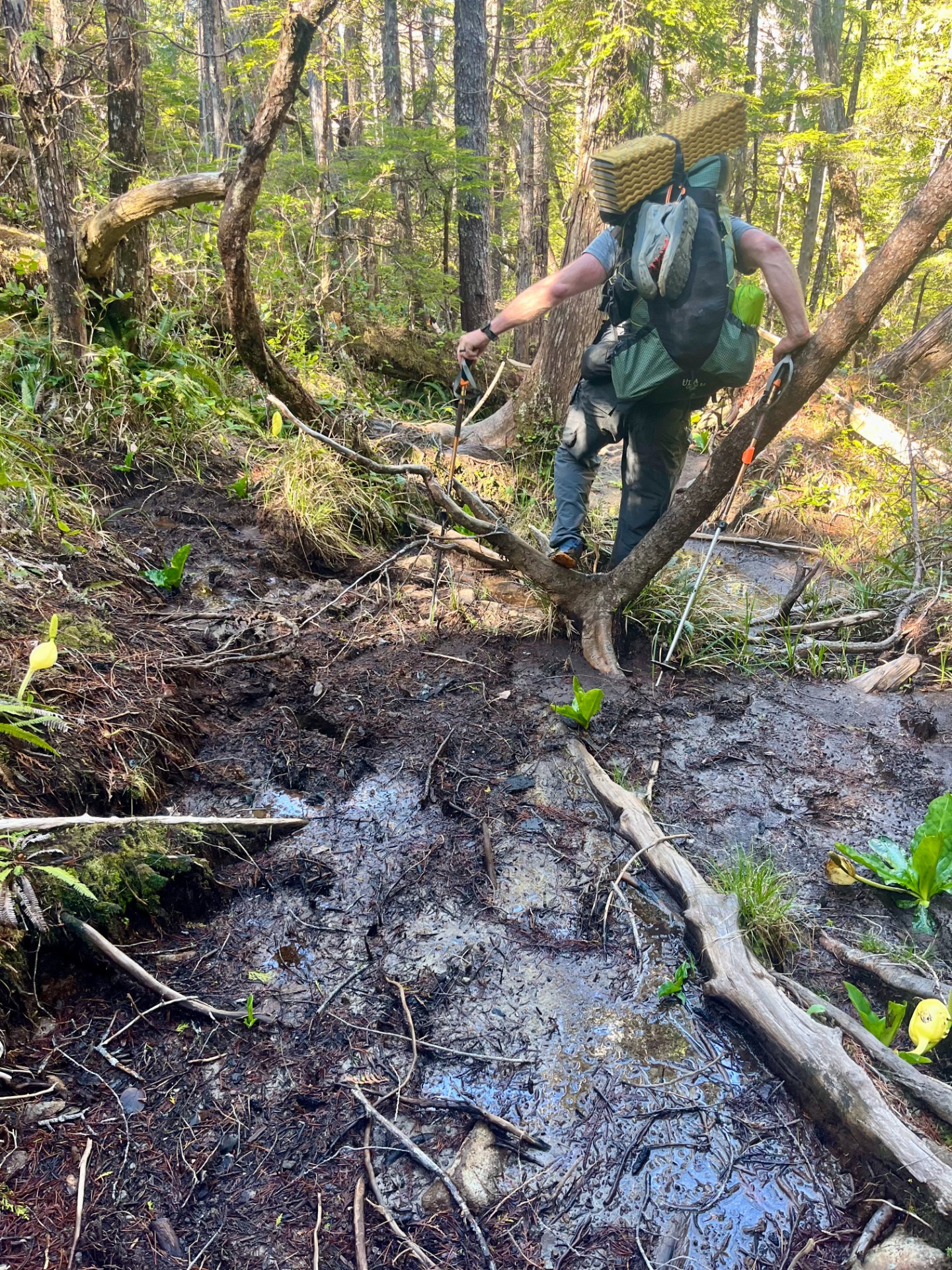 Muddy trail section
