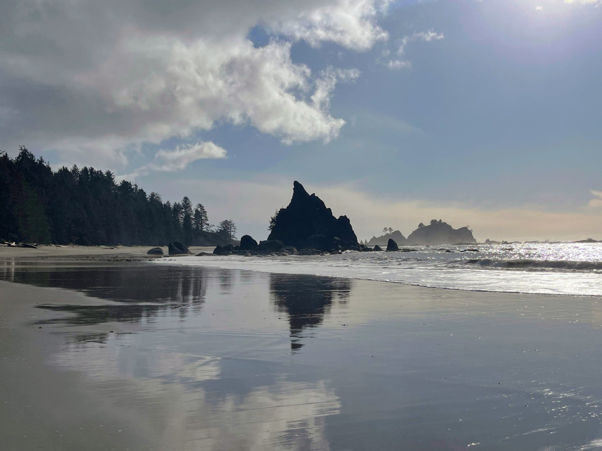 Sea Stacks near Toleak