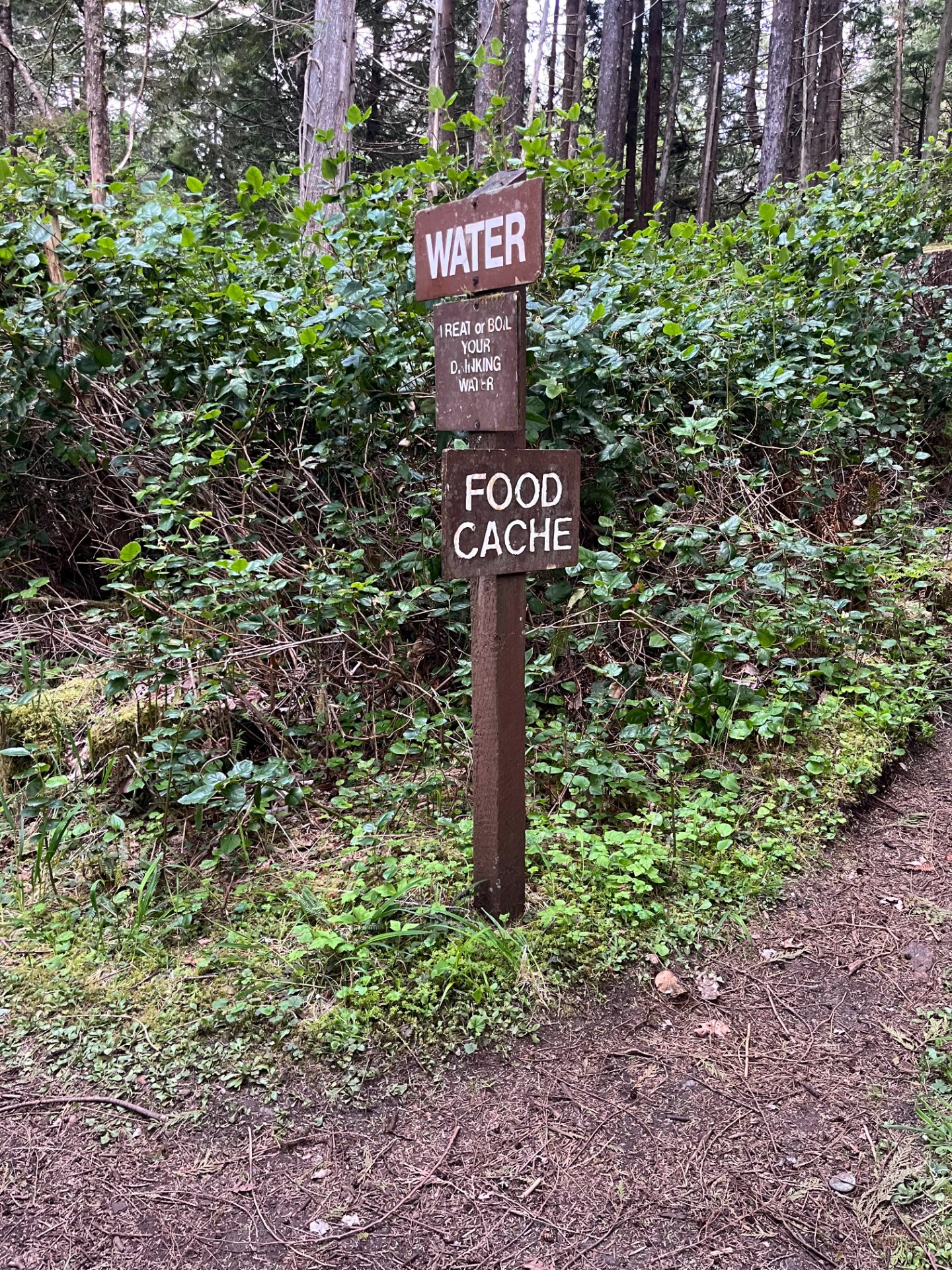 Watch for the signs on the south side of the beach