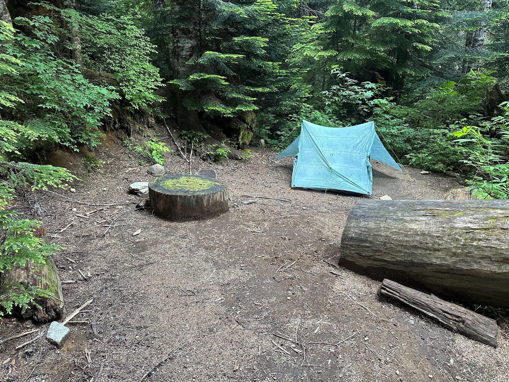 Carbon River Camp