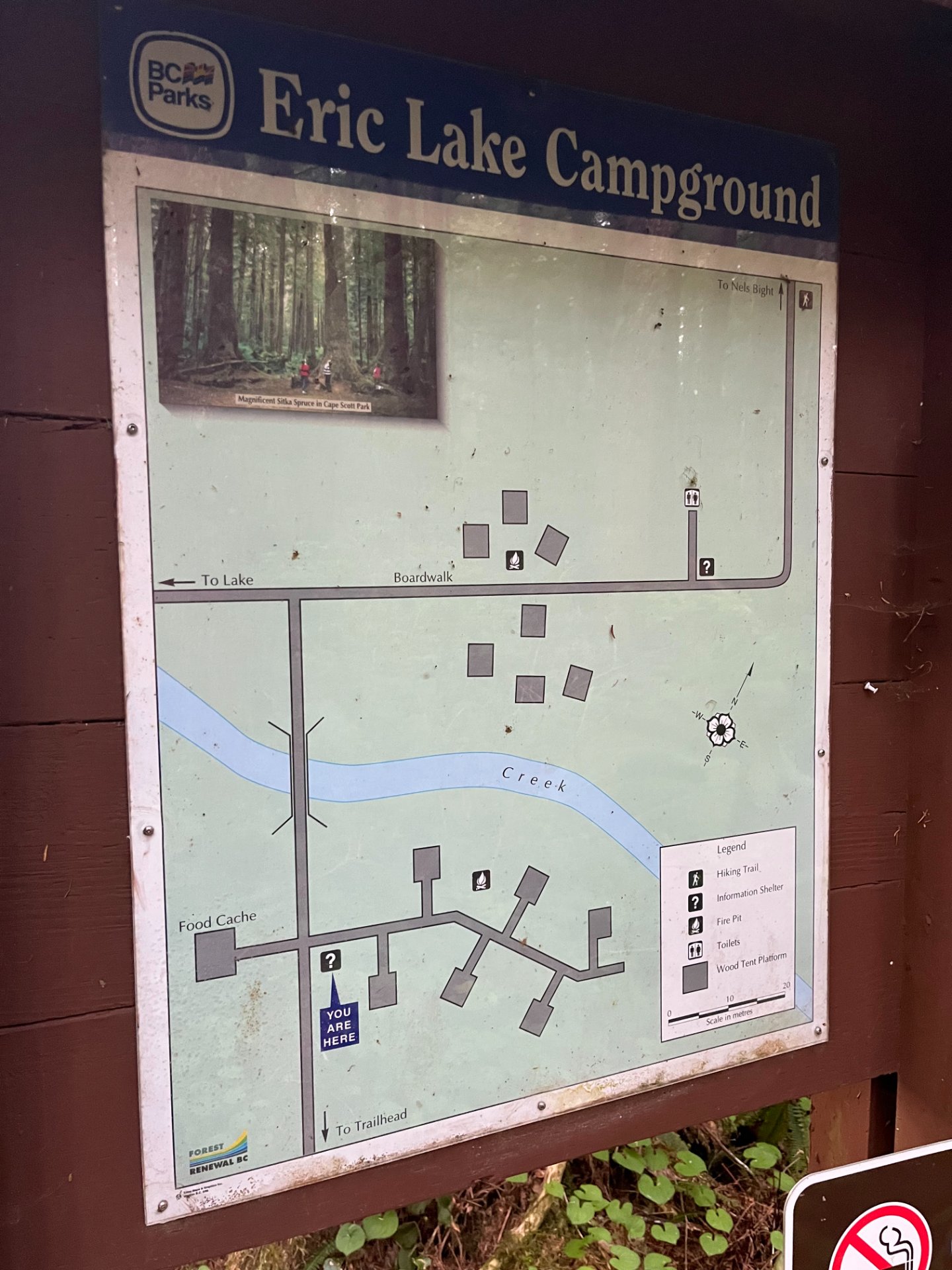 Camp Map