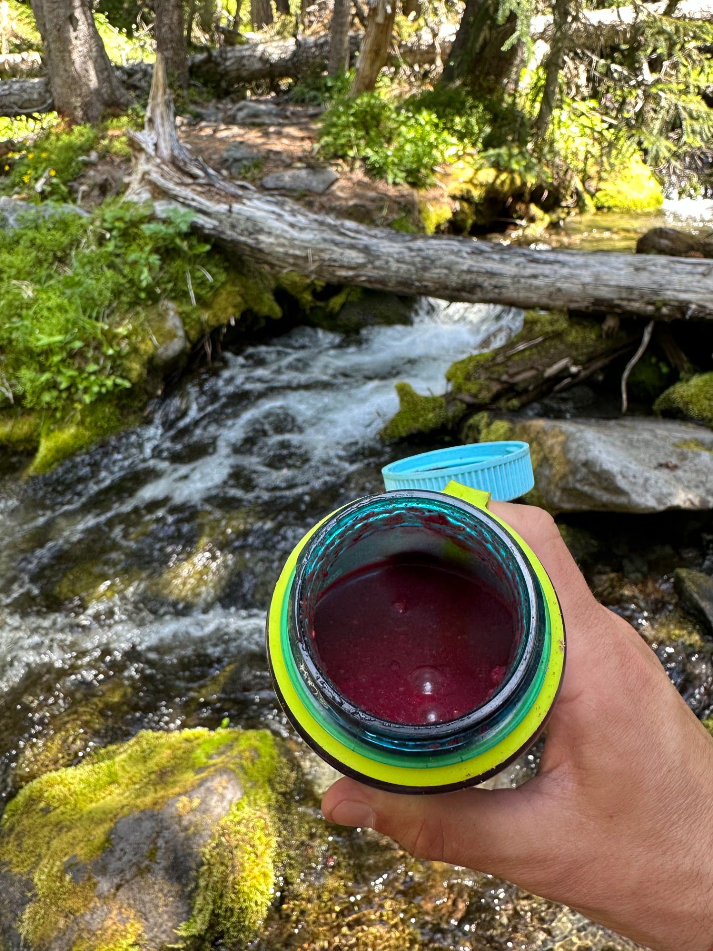 A great spot for a smoothie break