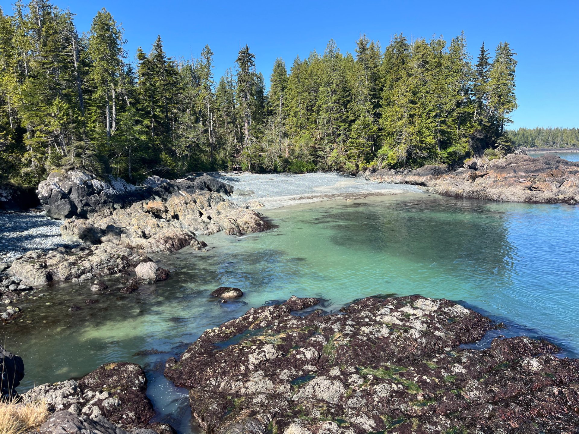 A Complete Guide to the North Coast Trail and Cape Scott