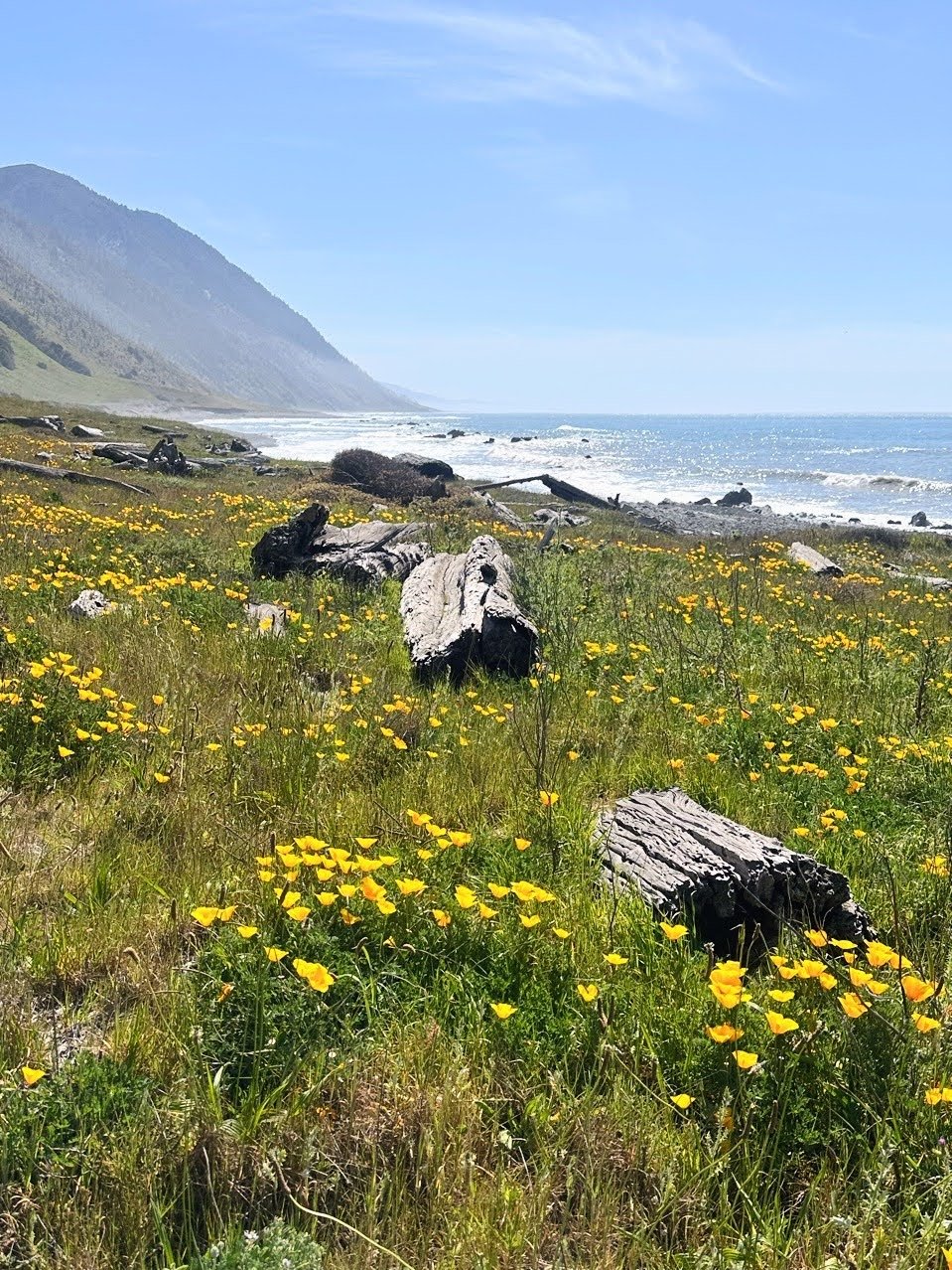 Spanish Flats