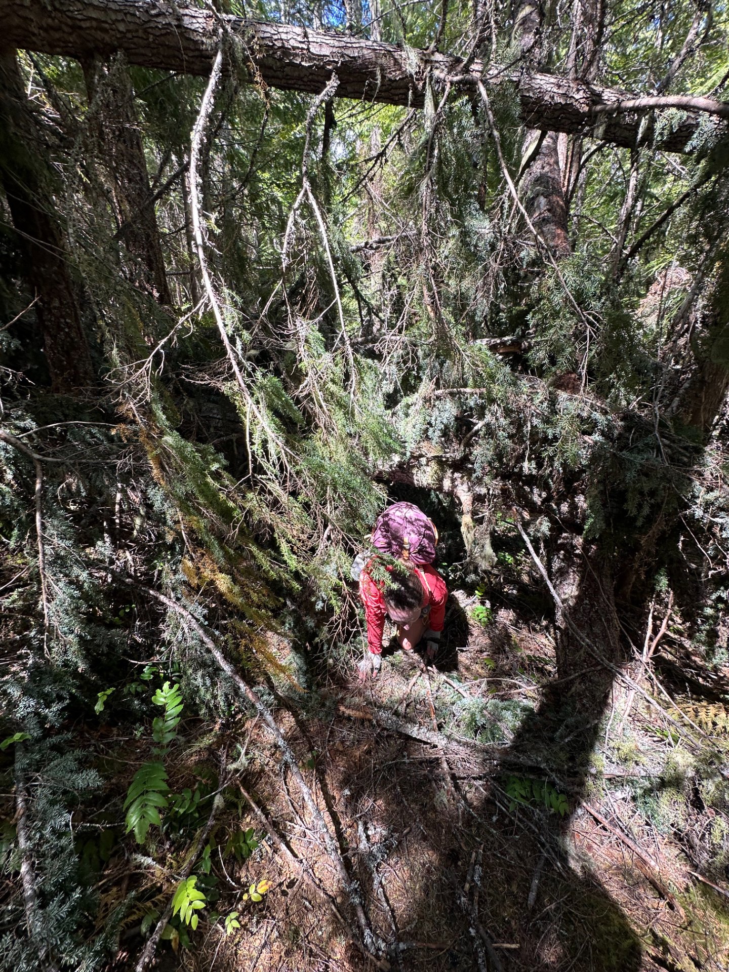 Navigating the blowdowns