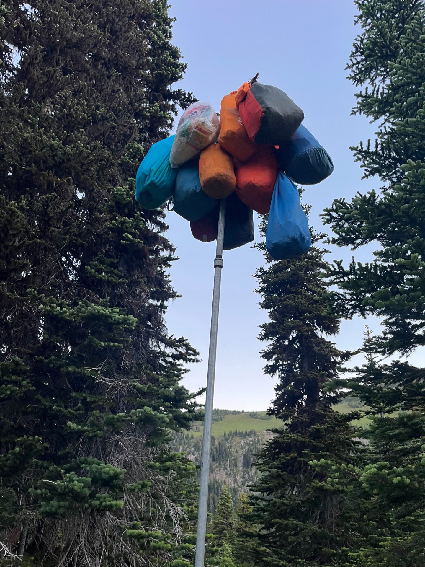 A very full bear pole at Summerland