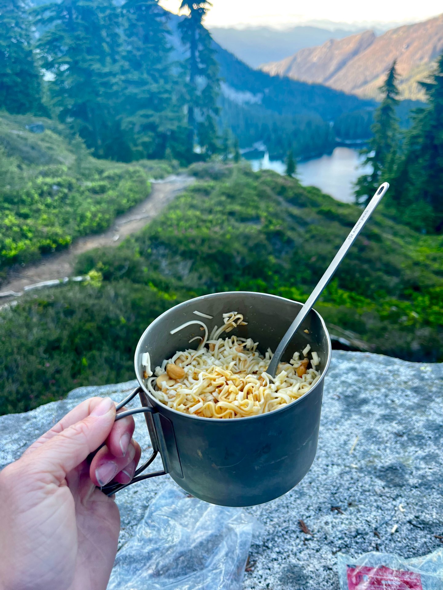 Asian Peanut Noodle Bowl