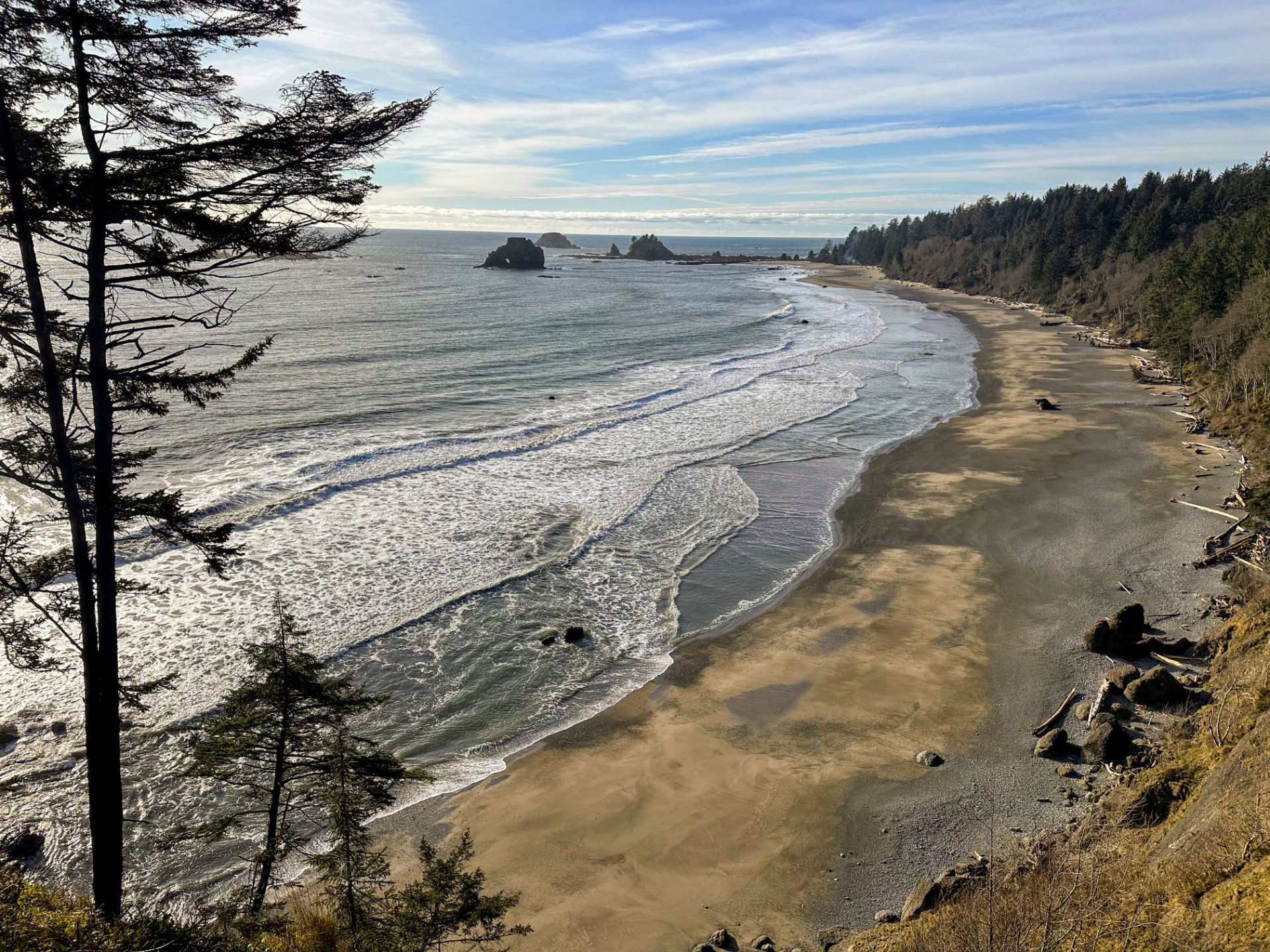 South Coast Wilderness Trail: Third Beach to Toleak Point