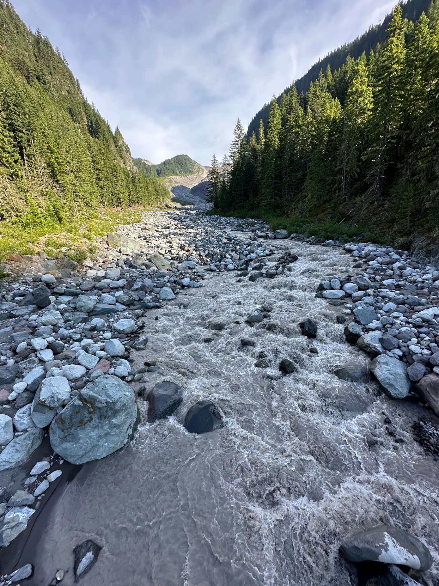Lots of water moving through the Carbon River