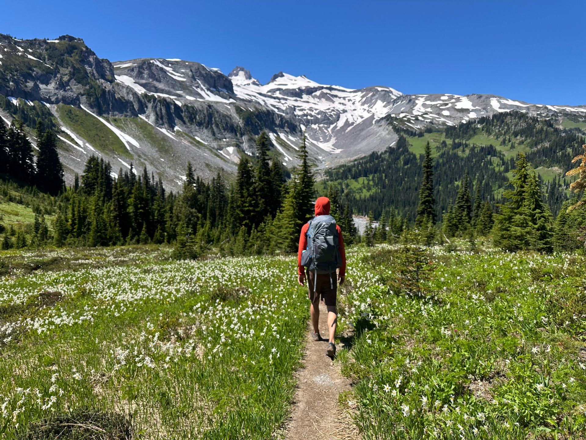 A very pretty section of trail getting to Indian Bar