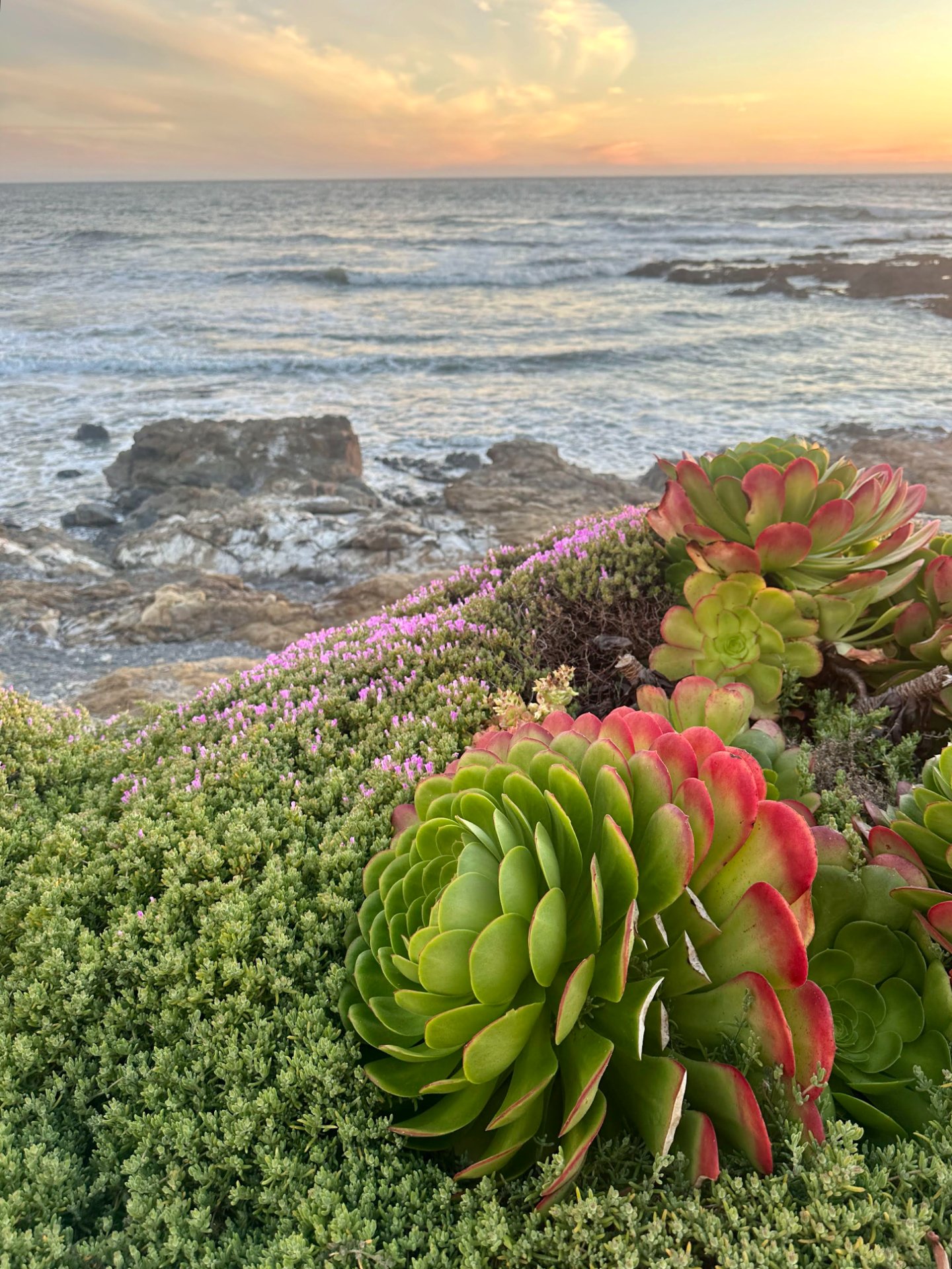 Enjoying the sunset lighting at the Black Sands Inn