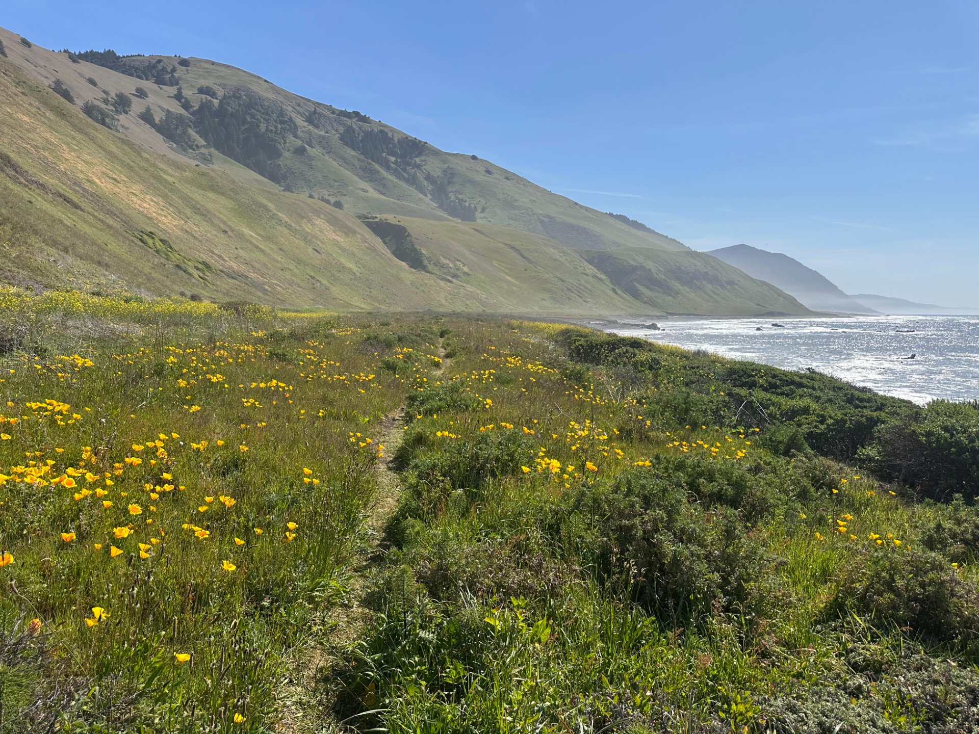 Trail Running the Lost Coast Trail