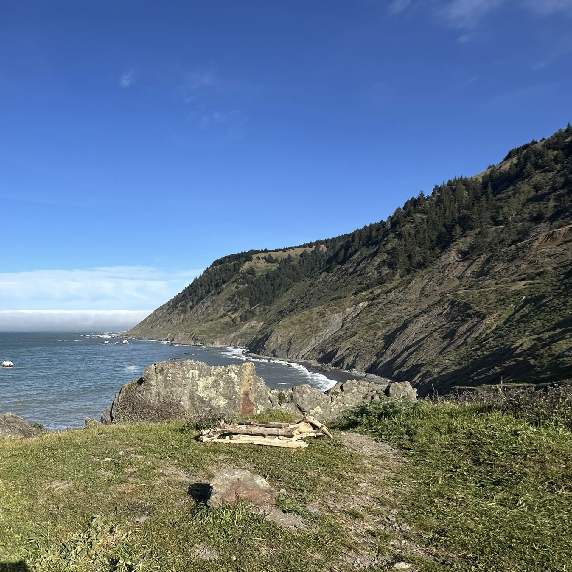 Camp spot near Cooskie Spur Route Trail