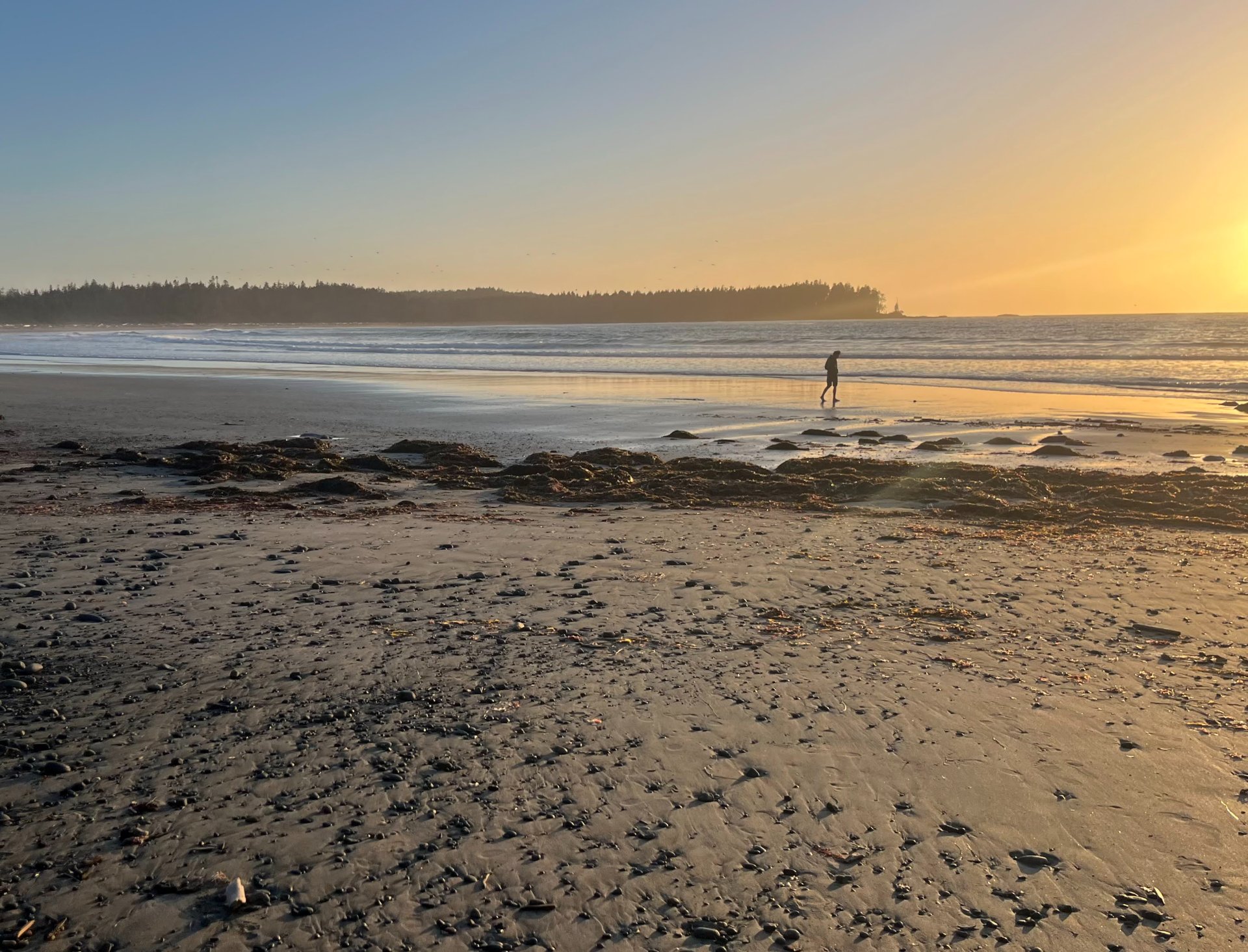 The beach at Irony Creek