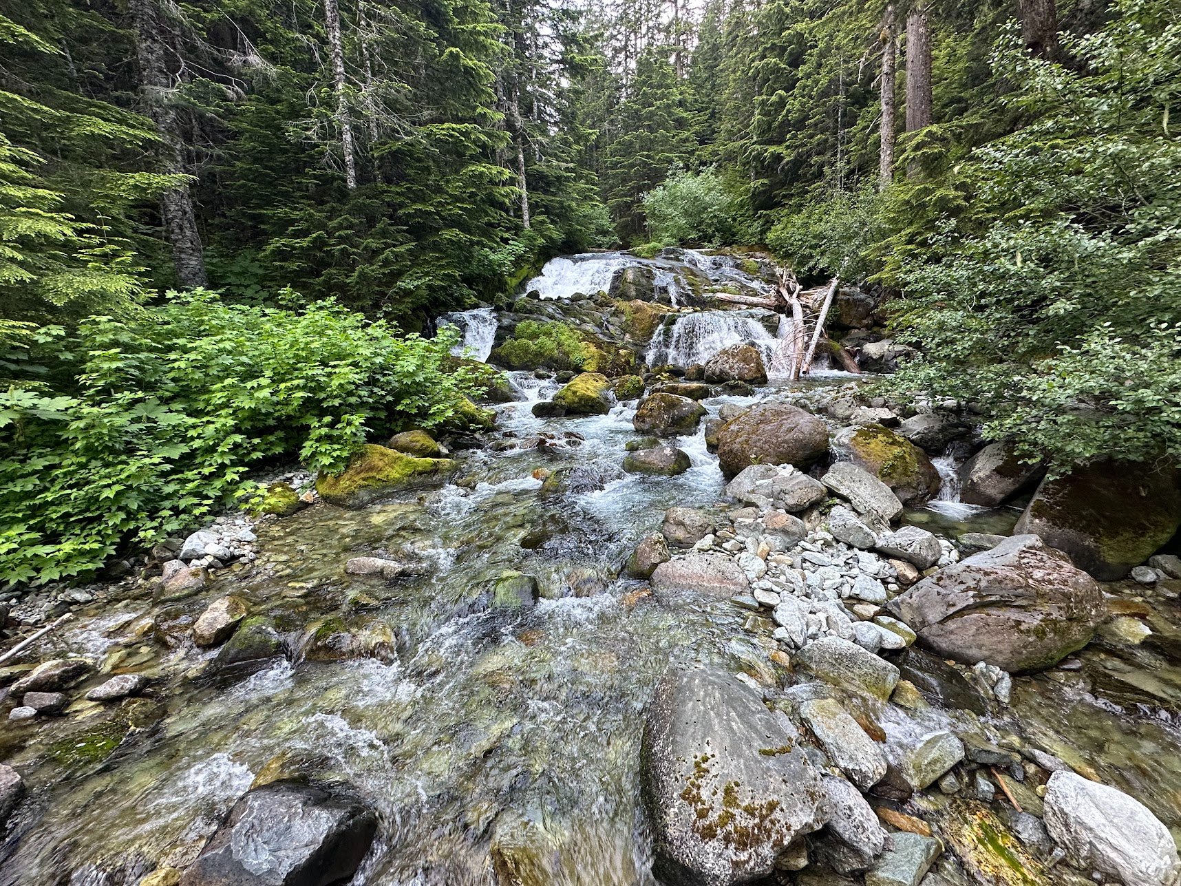 Cataract Creek near Carbon River Camp