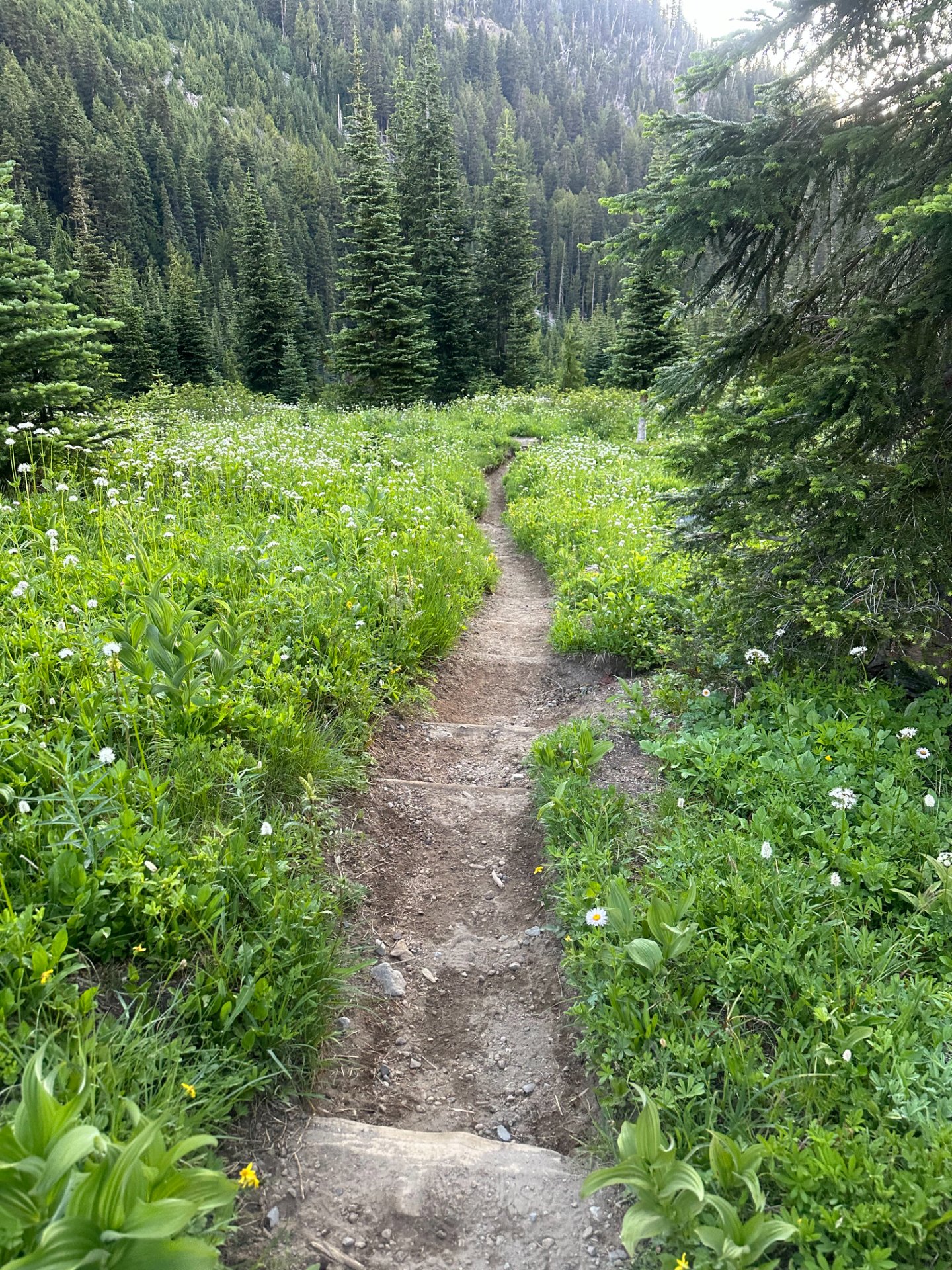 Nice trail leaving Summerland